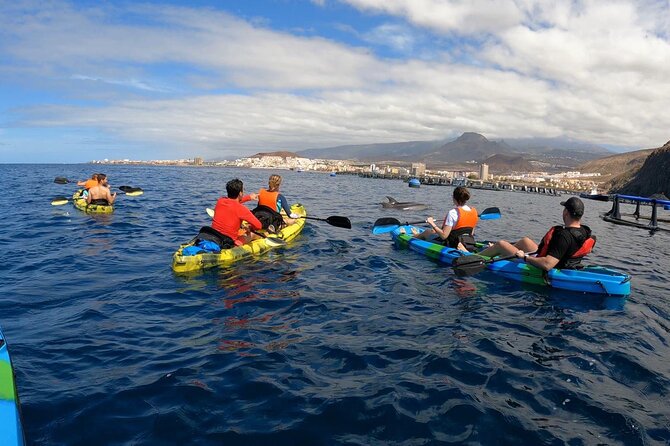 Guided Kayak Tour From Los Cristianos Beach Tenerife - Is $54.44 fair value?