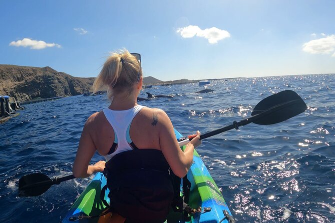 Guided Kayak Tour From Los Cristianos Beach Tenerife - Check the meeting time before you set out