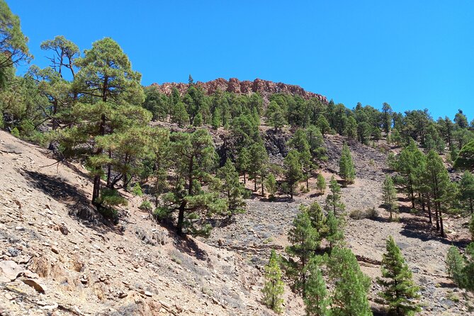 Hiking in Tenerife's Great Outdoors - Andy’s local knowledge makes the route more than a walk