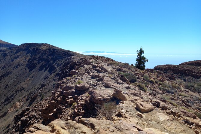 Hiking in Tenerife's Great Outdoors - Is $72.59 good value?