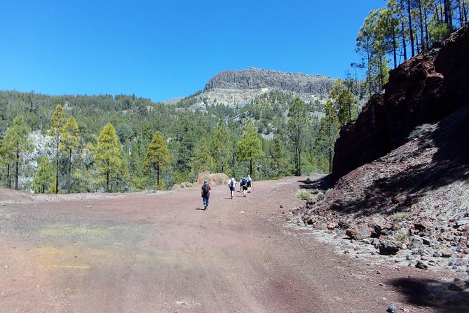 Hiking in Tenerife's Great Outdoors - Prepare for sun, uneven paths and changing conditions