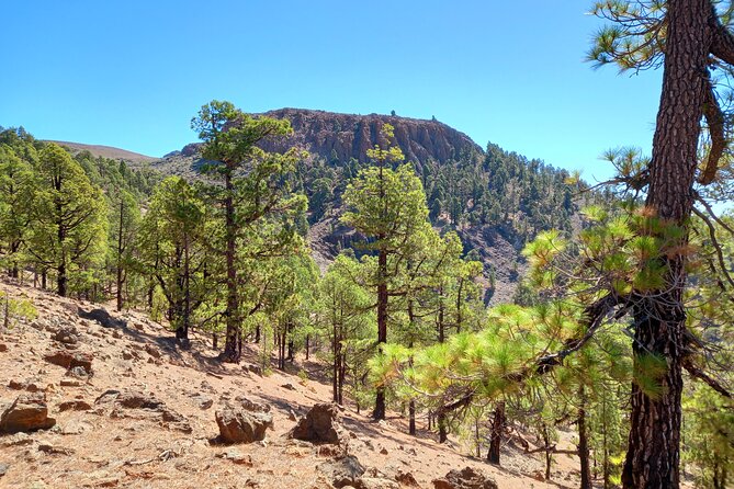 Hiking in Tenerife's Great Outdoors - Who should book this Tenerife hike?