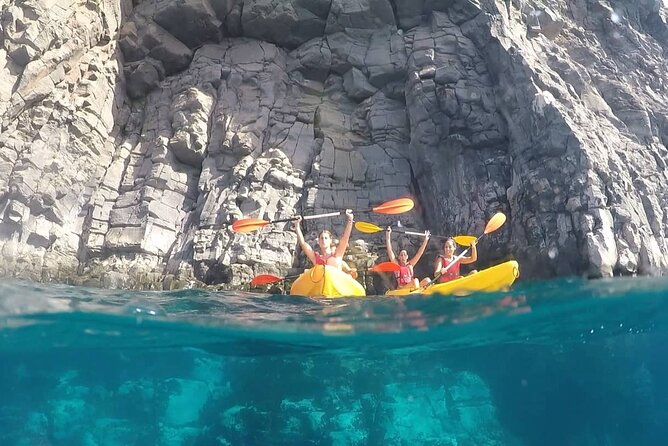 Kayak Safari with Dolphin and Turtle Watching in Guaza - The guide and group make a difference