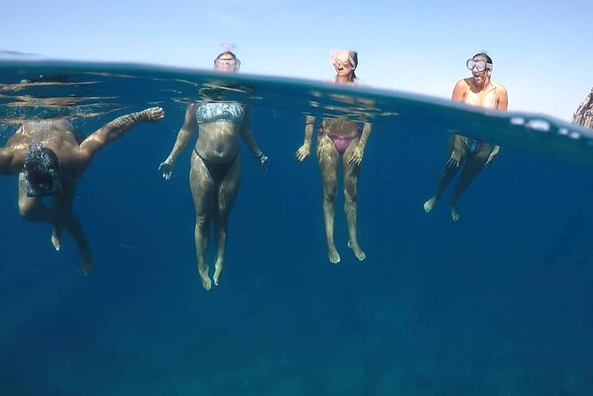 Kayak Safari with Dolphin and Turtle Watching in Guaza - What to bring and expect on shore