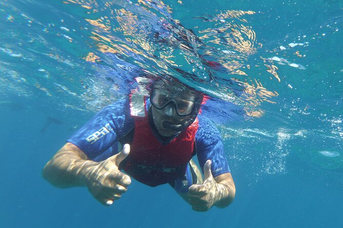 Kayaking + snorkeling with turtles - Price, pickup, and what to plan for