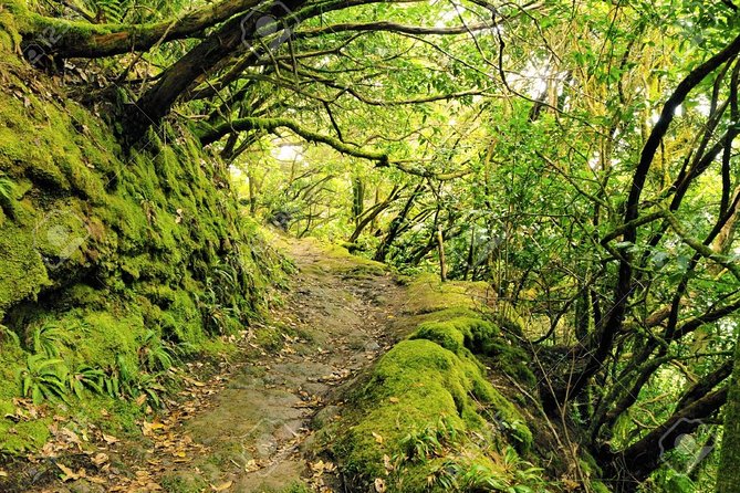 La Gomera Day Trip from Tenerife - The real cost of seeing another island