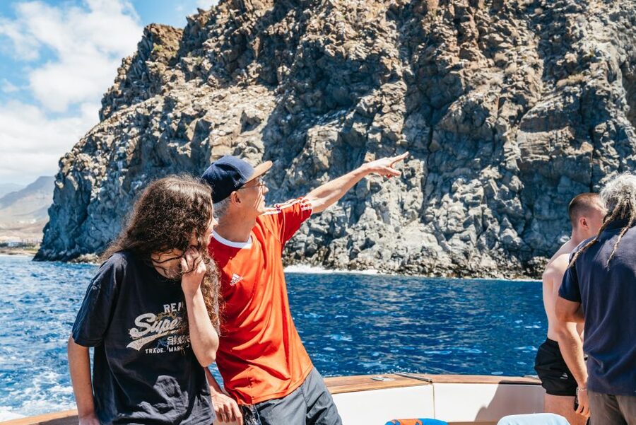 Las Galletas: Whale & Dolphin Tour with Local Skipper - At a glance