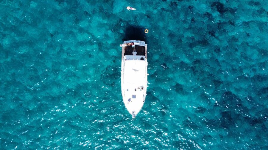 Las Galletas: Whale & Dolphin Tour with Local Skipper - Homemade lunch with local touches