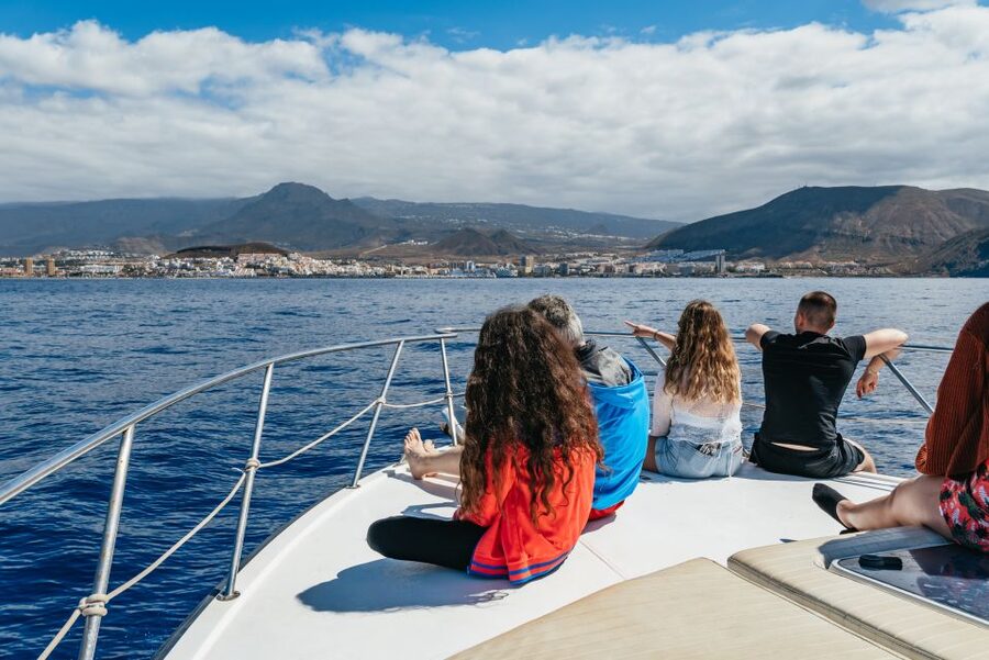 Las Galletas: Whale & Dolphin Tour with Local Skipper - Who will enjoy this trip most?