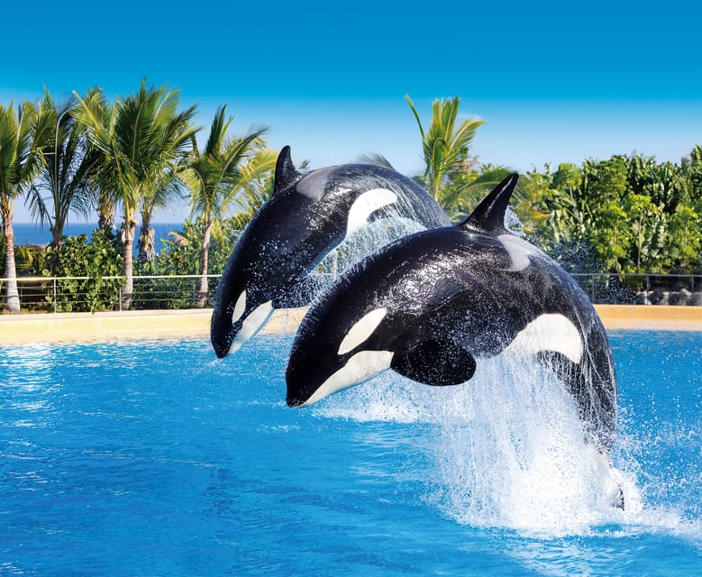 Loro Parque and Siam Park Combined Admission Tickets - Siam Park: slides, sun and queue strategy