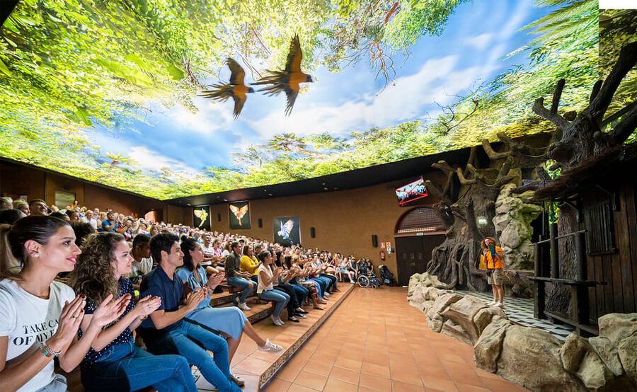 Loro Parque and Siam Park Combined Admission Tickets - Loro Parque: shows, habitats and a day in the north