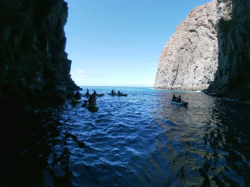 Los Cristianos: Kayak and Snorkel with Turtles and Photos - From check-in to the first paddle