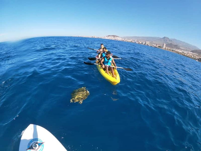 Los Cristianos: Kayak and Snorkel with Turtles and Photos - Guide photos and the return to the center
