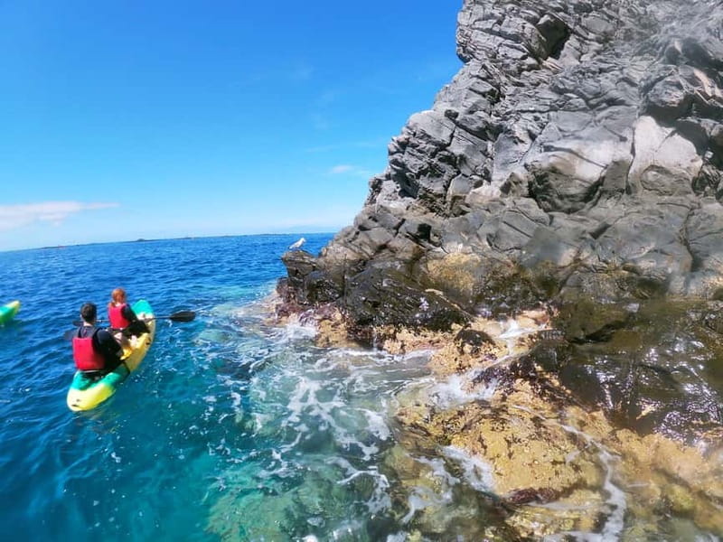Los Cristianos: Kayak and Snorkel with Turtles and Photos - Should you book the Los Cristianos kayak and snorkel tour?
