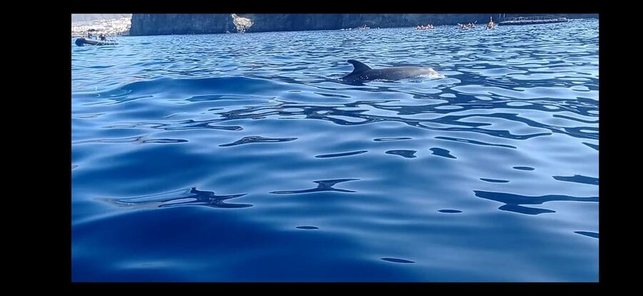 Los Cristianos: Kayak & Snorkel Tour with turtles and photos included - Paddling past Tarajales and El Callao