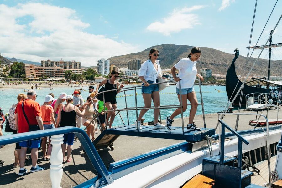 Los Cristianos Respectful No-Chase Whale and Dolphin Safari - Wildlife sightings: exciting, but not guaranteed