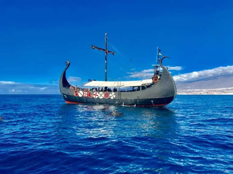 Los Cristianos: Viking Cruise Whales & Dolphins Watching - What the two-hour itinerary feels like