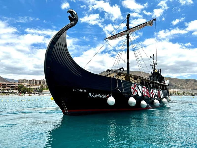 Los Cristianos: Whale Watching Cruise w/Swim Stop & Drinks - Searching for Whales and Dolphins Between Tenerife and La Gomera
