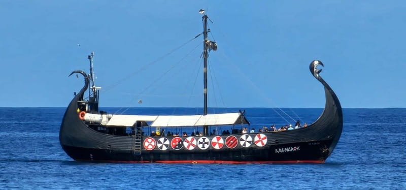 Los Cristianos: Whale Watching Cruise w/Swim Stop & Drinks - Should You Book the Ragnarok Cruise?