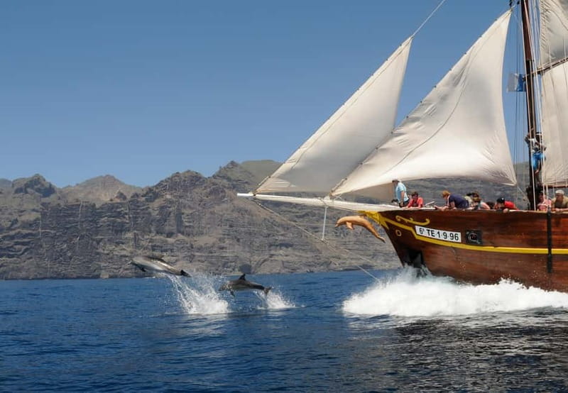 Los Gigantes: Dolphin and Whale Watching Tour with Drinks - The Swim Stop: Steps, Trapeze, or a Look From Deck