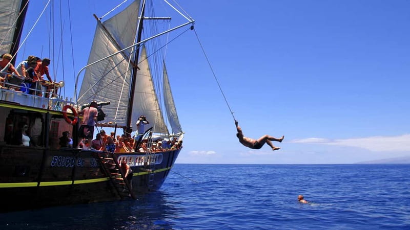 Los Gigantes: Dolphin and Whale Watching Tour with Drinks - FAQ