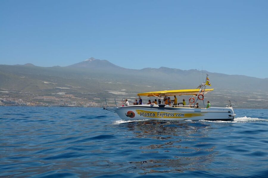 Los Gigantes: Dolphin & Whale Watching Cruise with Swim Stop - A short cruise with three distinct rewards