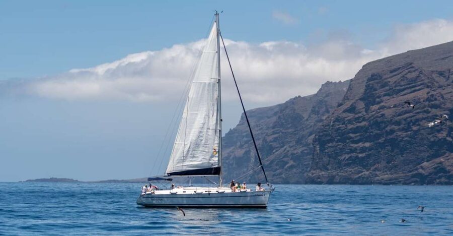 Los Gigantes: Sailing Excursion with Swimming, Drink & Tapas - Leaving Puerto de Los Gigantes