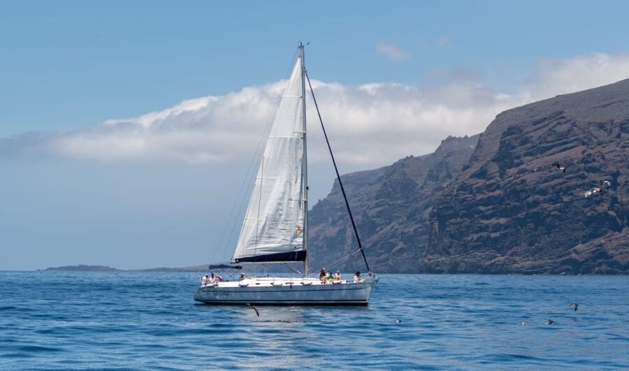 Los Gigantes: Sailing Excursion with Swimming, Drink & Tapas - Looking for whales and dolphins