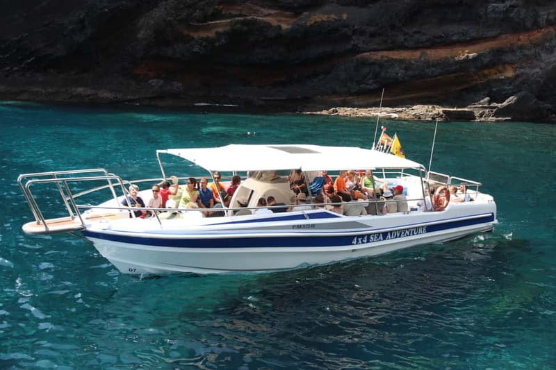 Los Gigantes: Whale or dolphin watching and swimming tour in Masca - At a glance