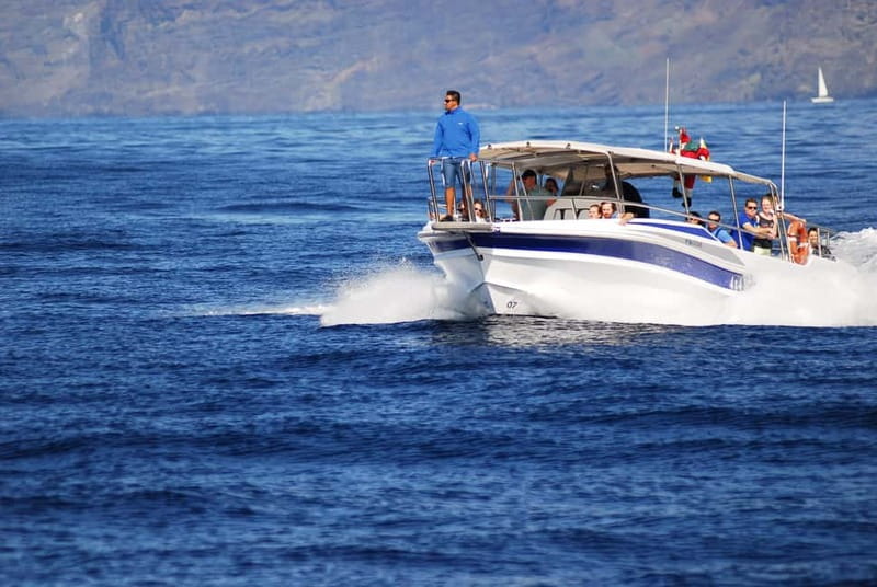 Los Gigantes: Whale or dolphin watching and swimming tour in Masca - Leaving Los Gigantes port