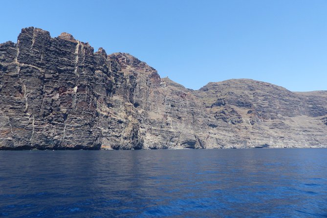 Los Gigantes Whale Watching Charter by Sail Boat - Practical details before you book