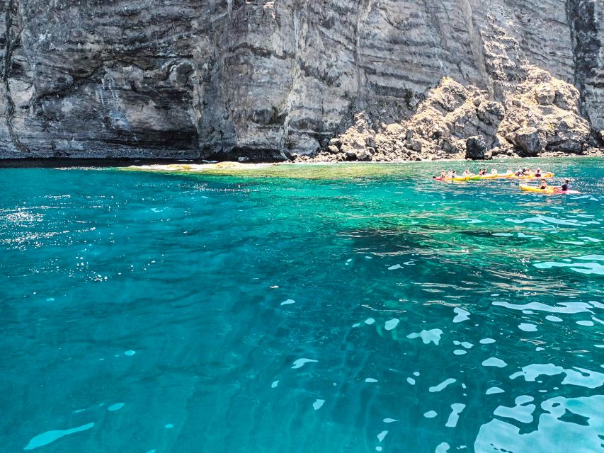 Los Gigantes: Whales and Dolphin Watching Cruise with Lunch - Is $74 good value for three hours?