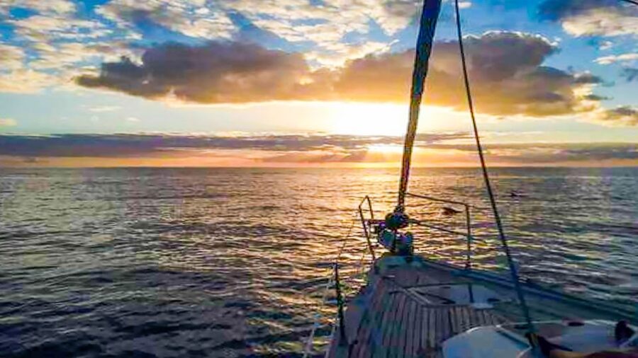Los Gigantes: Whales and Dolphin Watching Cruise with Lunch - Practical details before you go