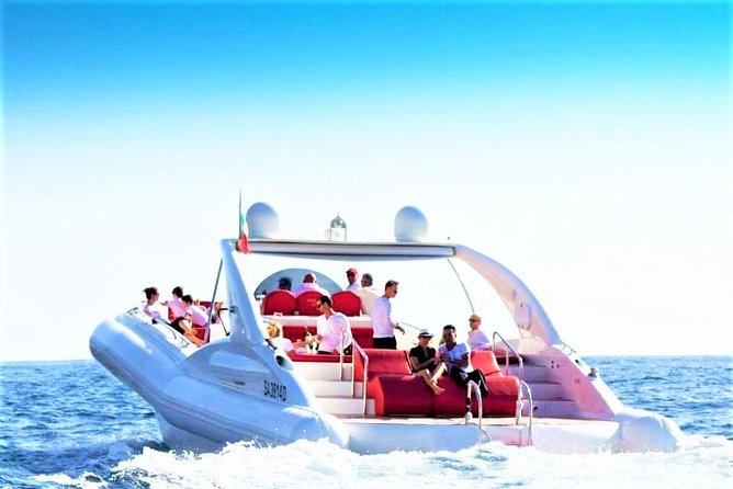 Luxury Opera 60 Whale & Dolphin Watching Experience - What to know before you book