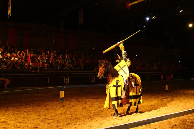 Medieval San Miguel castle with dinner-Show in South Tenerife - Jousting, falcons and a room full of noise