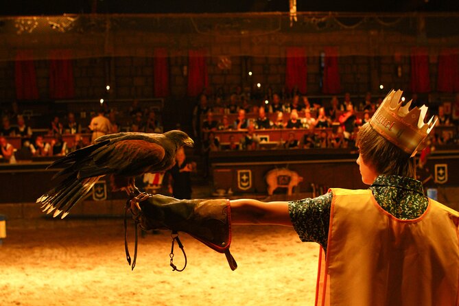 Medieval San Miguel castle with dinner-Show in South Tenerife - Who will enjoy this evening most