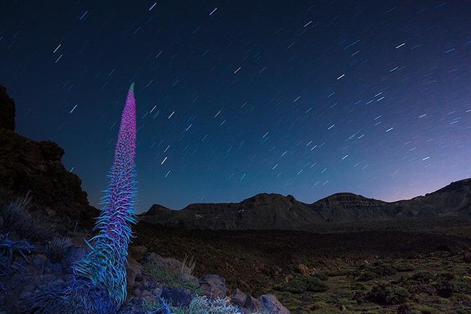 Mount Teide Night Tour: Stargazing, Dinner and Hotel Pick up - Who will enjoy this evening most?