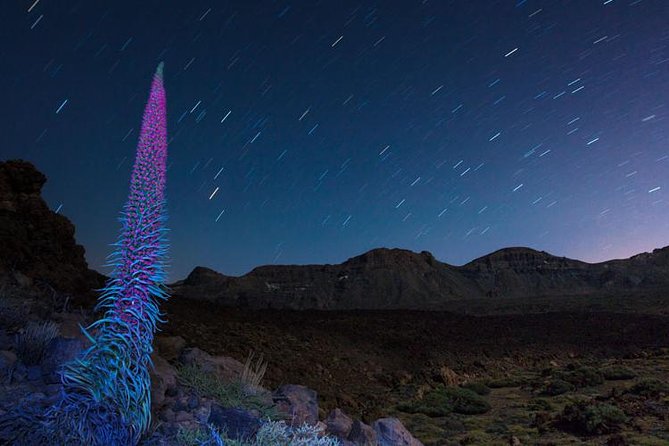 Mount Teide Night Tour: Stargazing, Dinner and Hotel Pick up - Stargazing from a roadside pull-off