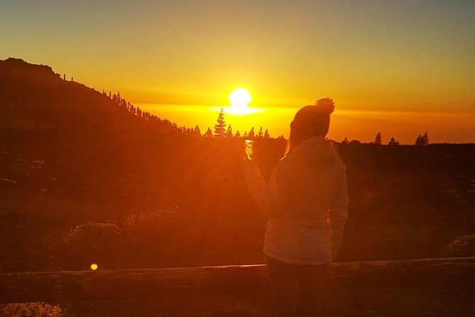 Mount Teide Stargazing with Dinner - Guides turn stars into a story