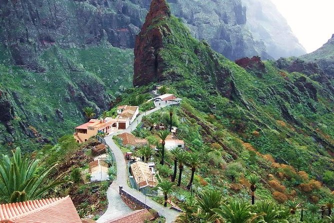 Mt. Teide and Masca Valley Tour in Tenerife - The high road through Teide National Park