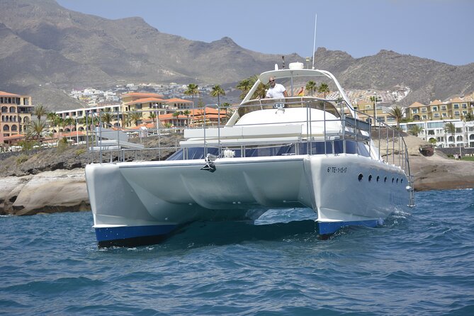 Private Catamaran Charter with Transfer, Buffet and Snorkeling - Making the most of a private itinerary