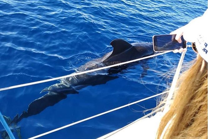 Private Charter in Tenerife south max 7 people - Lunch, snacks and a chance to swim