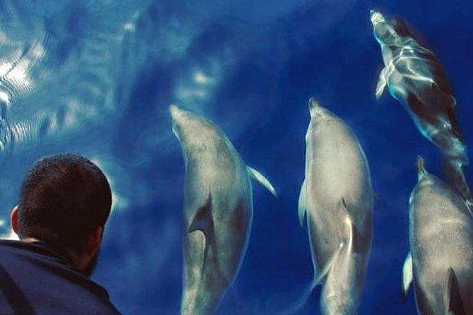Private Charter in Tenerife south max 7 people - Three hours, with Playa del Puertito as the planned stop