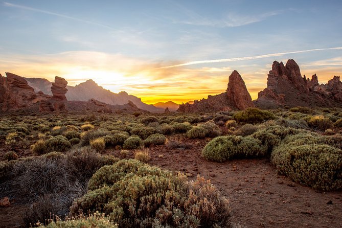 Private excursion to Teide National Park - Should you book it?