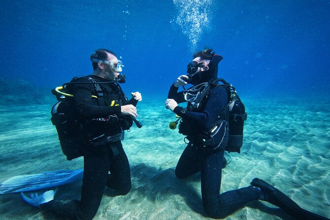 Private Scuba Diving in Tenerife – Certified Instructor & Photos - A Private First Session, Not a Skills Course