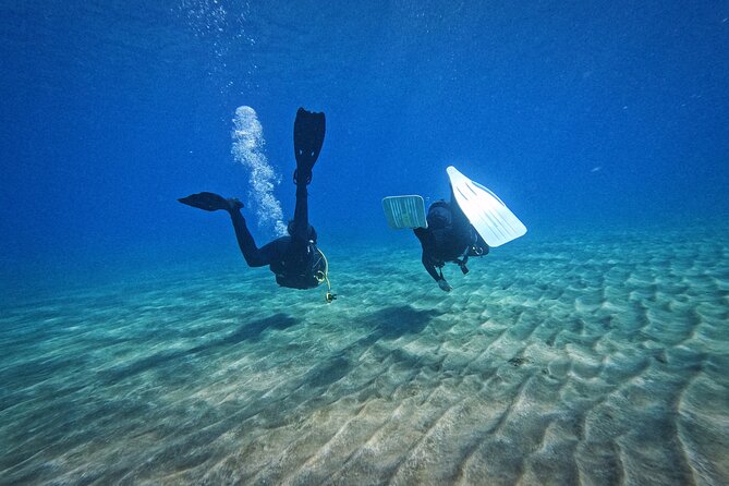 Private Scuba Diving in Tenerife – Certified Instructor & Photos - About 30 Minutes Among the Fish