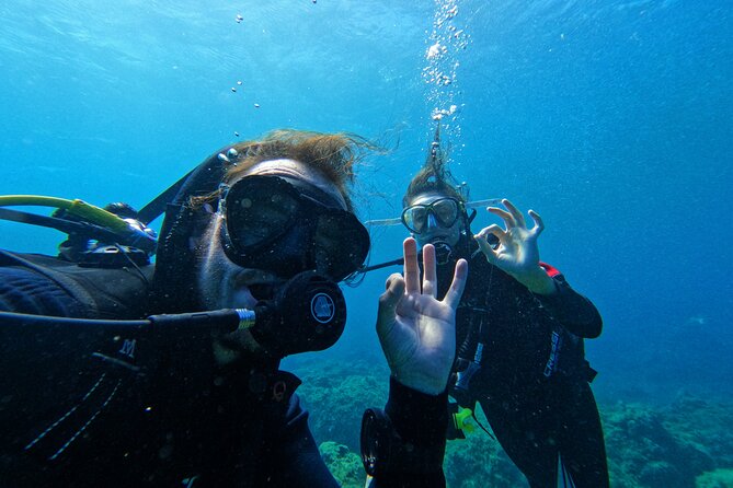 Private Scuba Diving in Tenerife – Certified Instructor & Photos - Does $114.89 Offer Good Value?