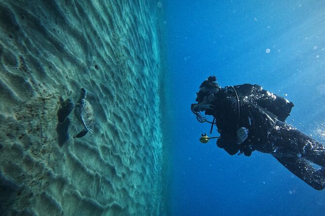 Private Scuba Diving in Tenerife – Certified Instructor & Photos - From Hotel Pickup to the Los Cristianos Shore