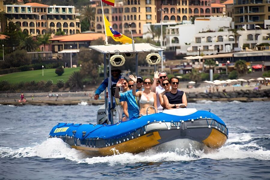 Puerto Colon: Dolphin and Whale Watching Speedboat Tour - What to know before you book