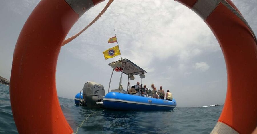 Puerto Colon: Dolphin and Whale Watching Speedboat Tour - Snorkeling near Palm-Mar or La Caletta
